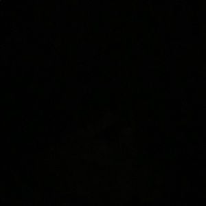 Meet your Posher, Bob